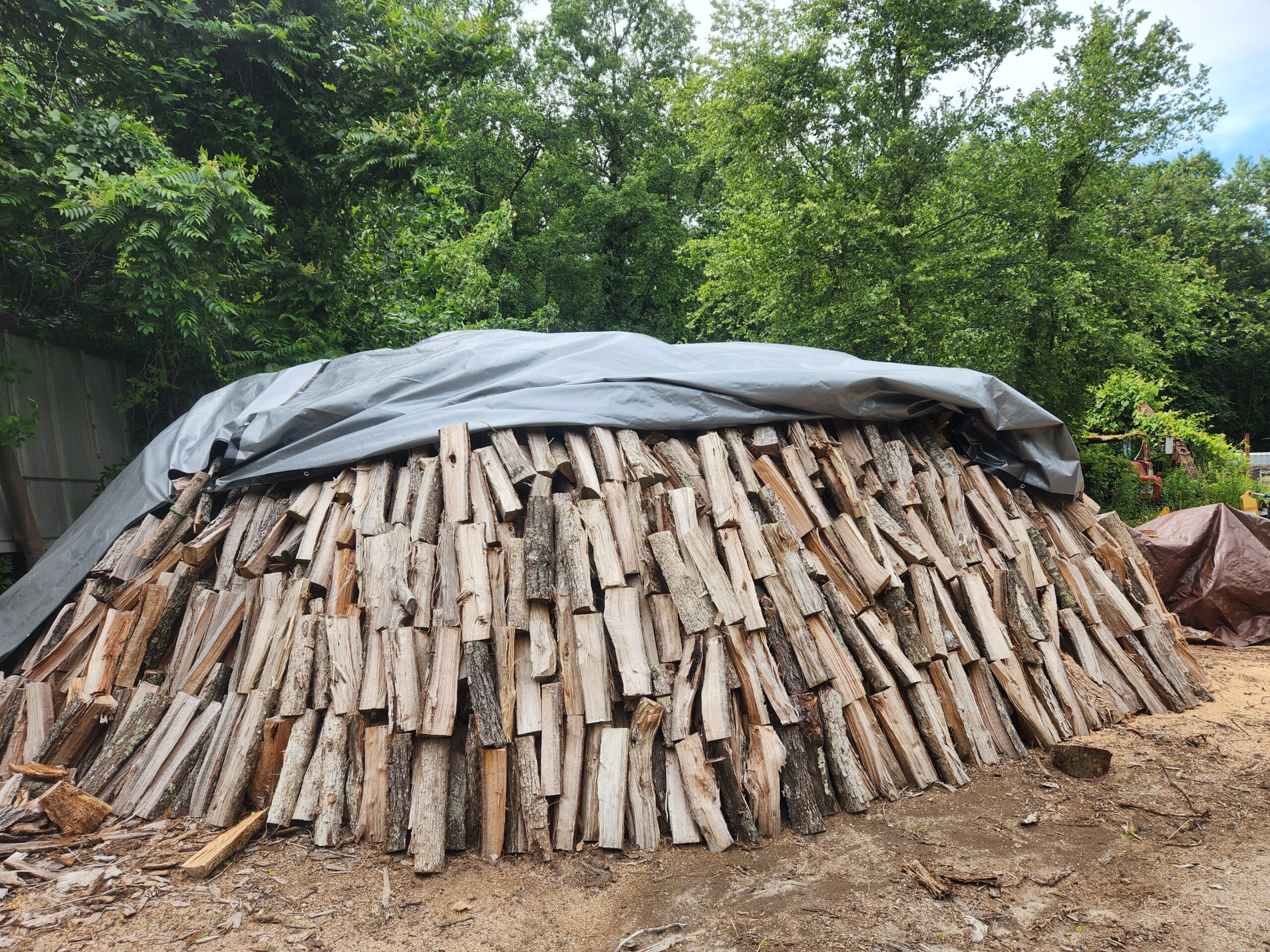 A cut down tree laying in a cleared area on the firewood for sale chester va page